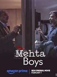 The Mehta Boys